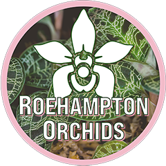 Roehampton Orchids