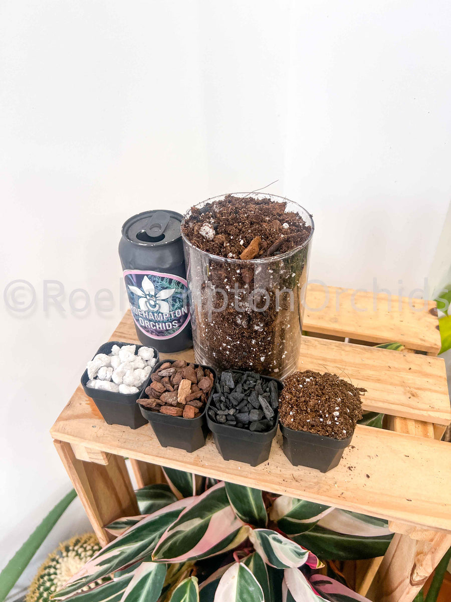 Roe Terrestrial Mix – Roehampton Orchids