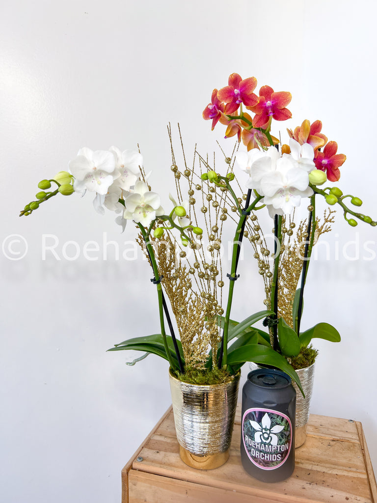 Decorative arrangement of orchids in silver pots on a wooden stand with a white background