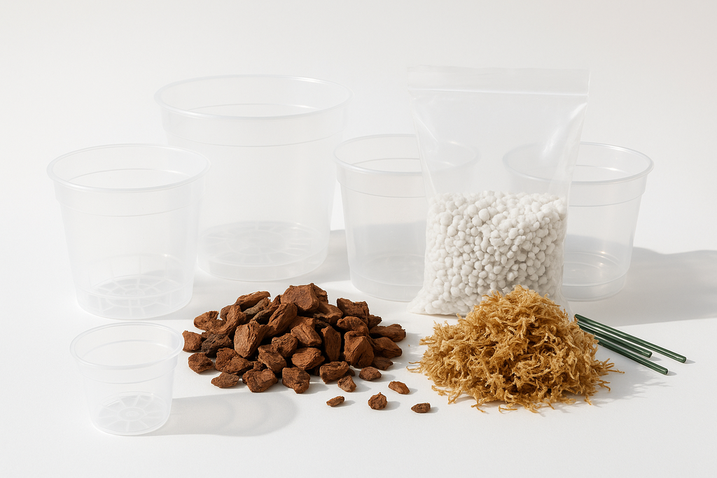 Orchid media, transparent pots and moss