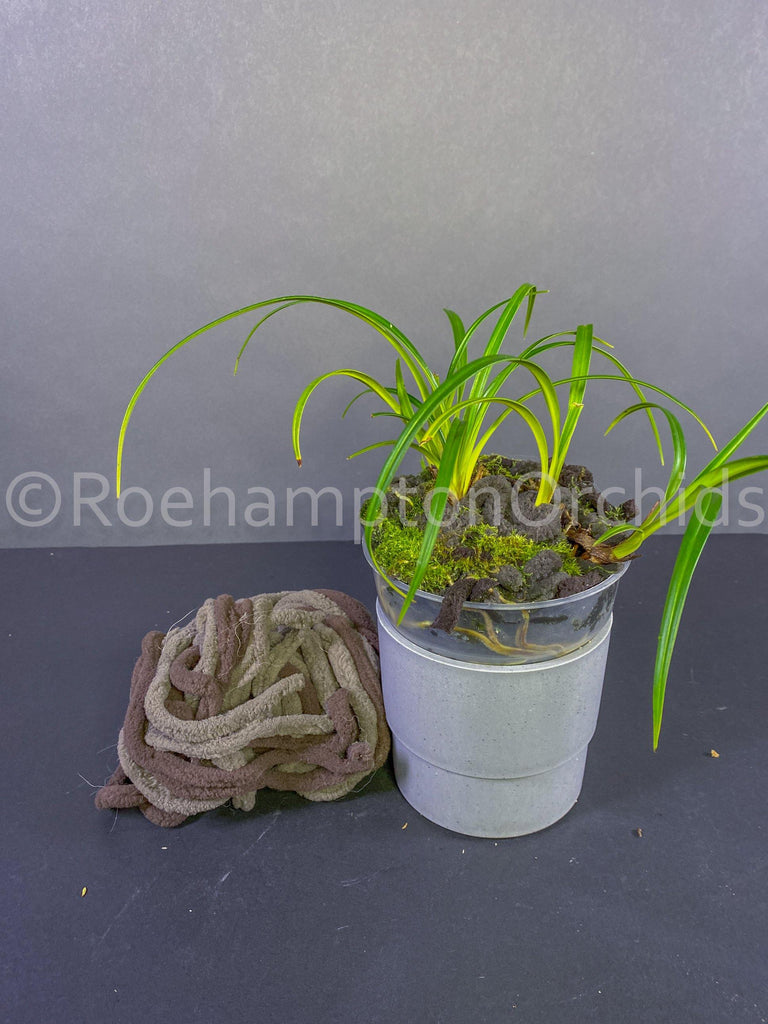 Hygrolon synthetic sphagnum moss - Roehampton Orchids