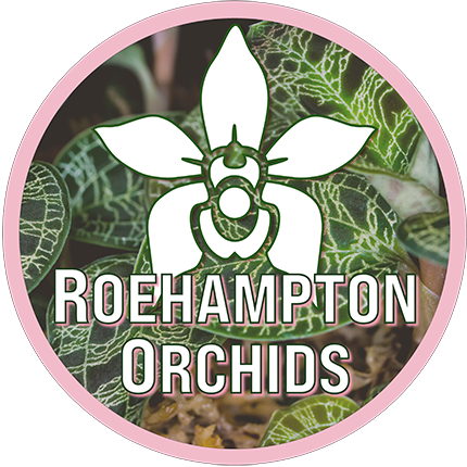 Gift Card - Roehampton Orchids
